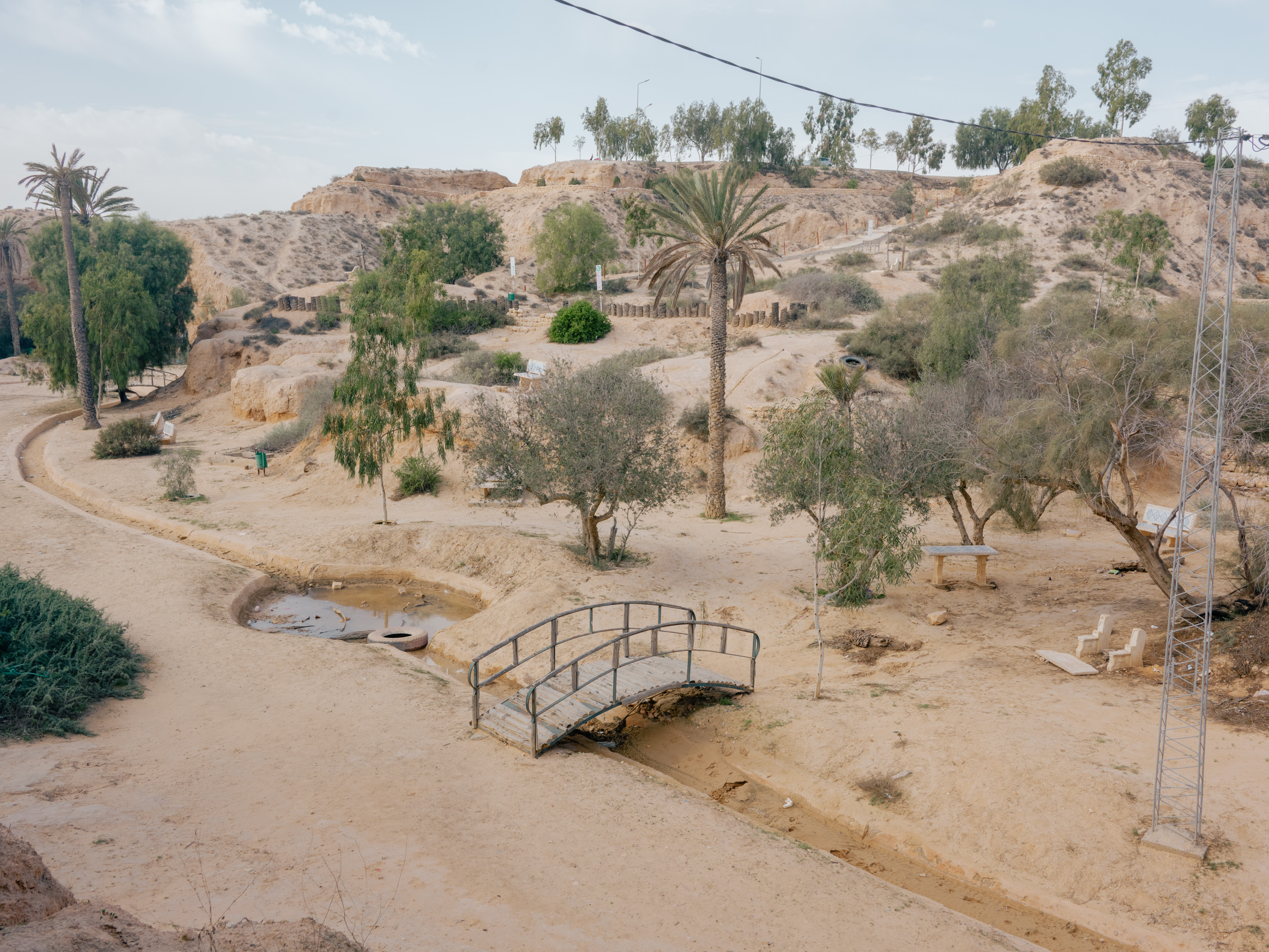 21st Century Oasis Personal Project, 2024 – 2025